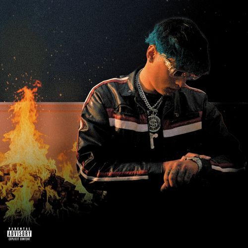 Money Cash cover art