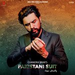Pakistani Suit artwork