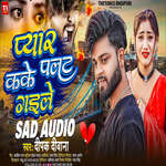 Pyar Kake Palat Gaile