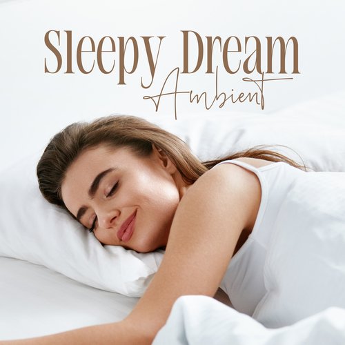 Insomnia Cure cover art