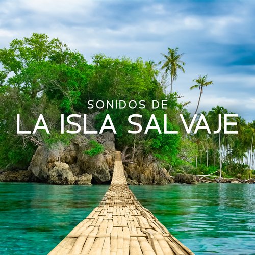 Sonidos Relajantes de lluvia, Viento y Tormentas Eléctricas cover art