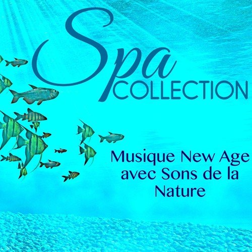 Soul Healing cover art
