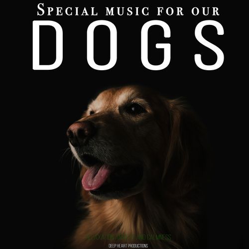 The Howling of the Wolf Relaxes Him (528 Hertz) cover art