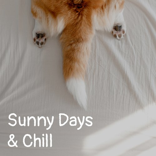 Sunny Days & Chill_poster_image