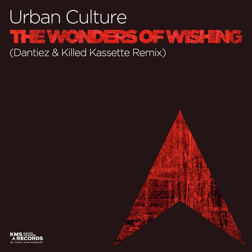 The Wonders Of Wishing (Dantiez & Killed Kassette Remix) cover art