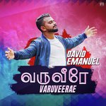 Varuveerae   Performance Track