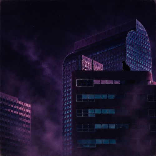 she goes by. (San Dee Remix)