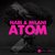 ATOM (Maurizio Gubellini & Delayers Remix)