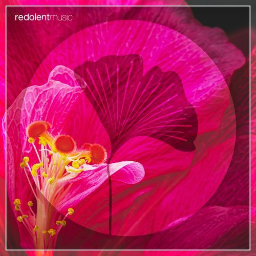 Afro Chooz (Novalima's Rafael M La Danza Edit)