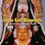 Amme Nee Saranam