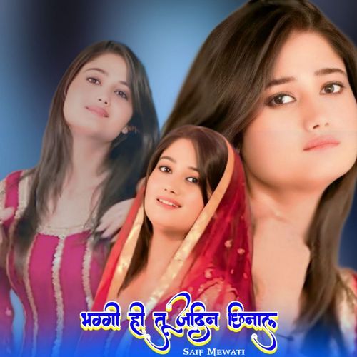 भग्गी ही तू जादिन छिनाल