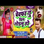 Bewafa Tu Dil Todlu Ho (Bhojpuri Song)