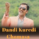 Dandi Kuredi Chomasa artwork