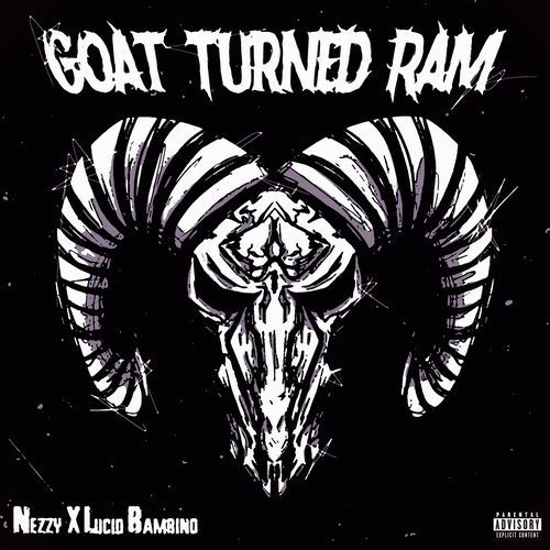 GOAT TURNED RAM