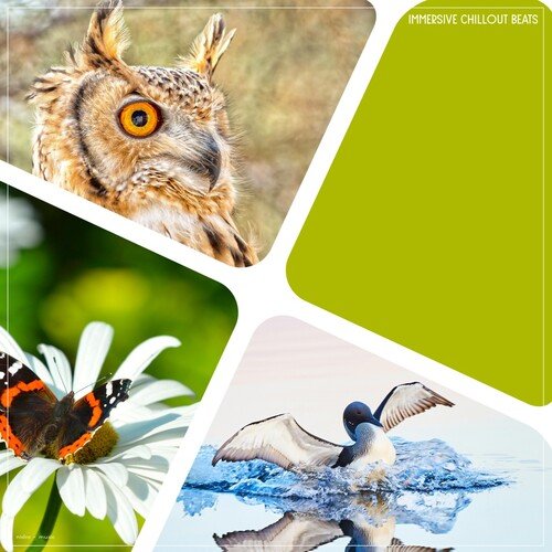 Hugla cover art