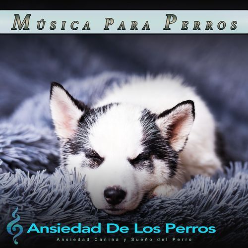 Ansiedad De Los Perros cover art
