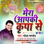 MERA APKI KRIPA SE (Hindi)