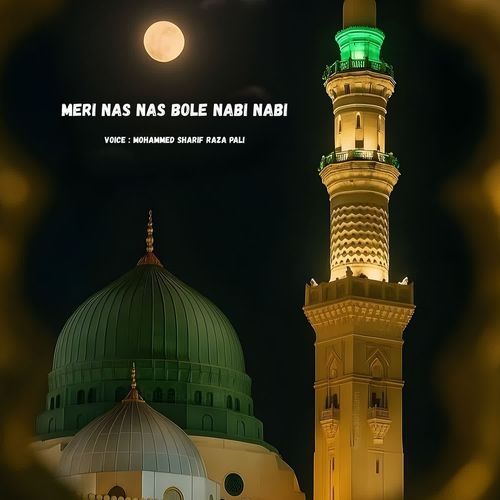 Meri Nas Nas Bole Nabi Nabi