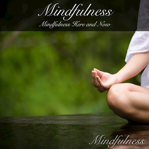 Mindfulness: Mindfulness Here and Now_poster_image