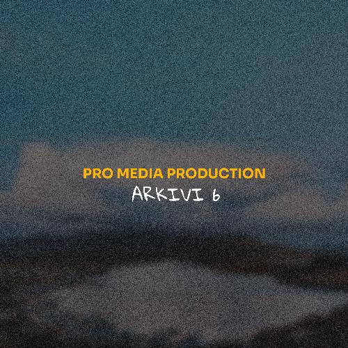 Produksioni Pro Media 