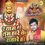 Shyam Mere Tum Hare Ke Sahare Ho