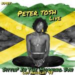 Peter & Crowd (Live)