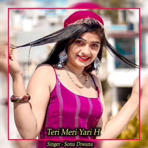 Teri Meri Yari H