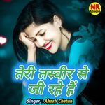 Teri Tasvir Se Ji Rahe Hai