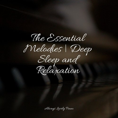 The Essential Melodies | Deep Sleep and Relaxation