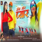 Toy Mor Pyar