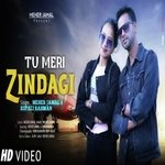 Tu Meri Zindagi