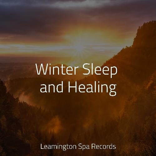 Winter Sleep and Healing