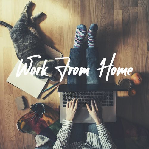 Work From Home_poster_image