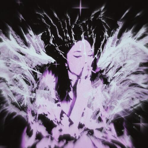 inadequate cover art