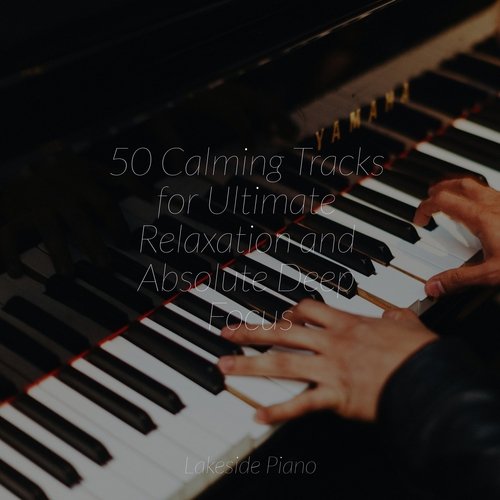 50 Calming Tracks for Ultimate Relaxation and Absolute Deep Focus