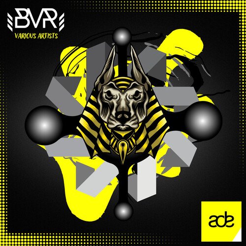 B21 cover art