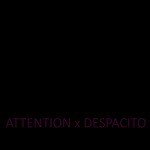Attention X Despacito Mashup (feat. Spencer Sutherland)