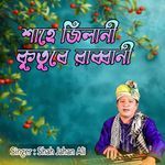 শাহে জিলানী কুতুবে রাব্বানী