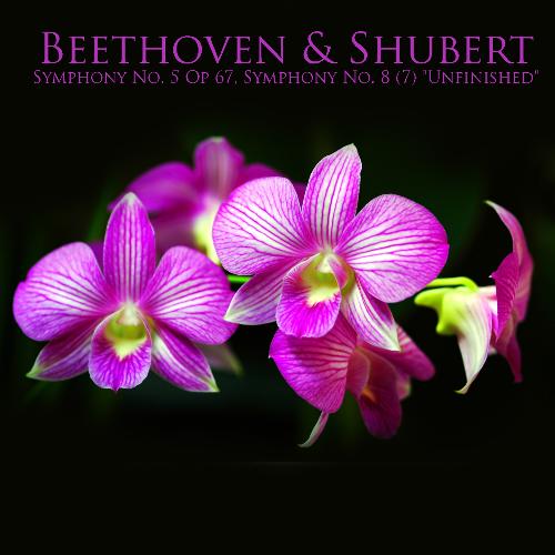 Beethoven &amp; Shubert: Symphony No. 5 Op. 67, Symphony No. 8 (7) &quot;Unfinished&quot;