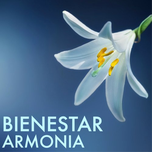 Relajacion del Mar cover art