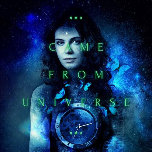 CAME FROM UNIVERSE_poster_image