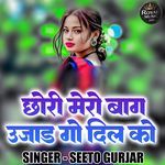 Chhori Mero Baag Ujaad Go Dil Ko