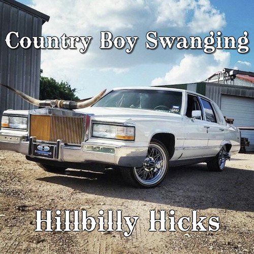 Country Boy Swanging cover art