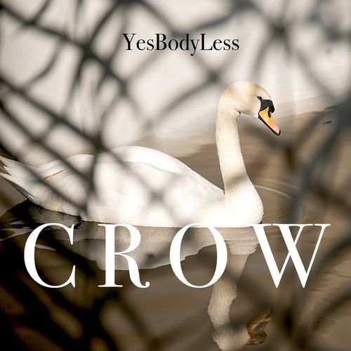Crow cover art
