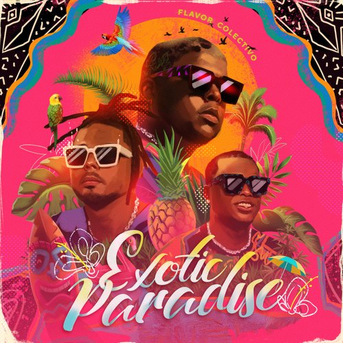 EXOTIC PARADISE (feat. Darnelt, Relax Buay, Flovv Coco)_poster_image