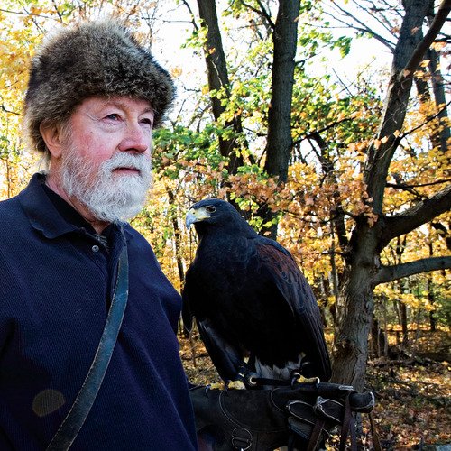 Hawk cover art
