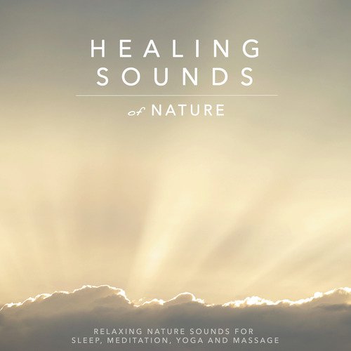 Sailing Sounds of the Caribbean cover art