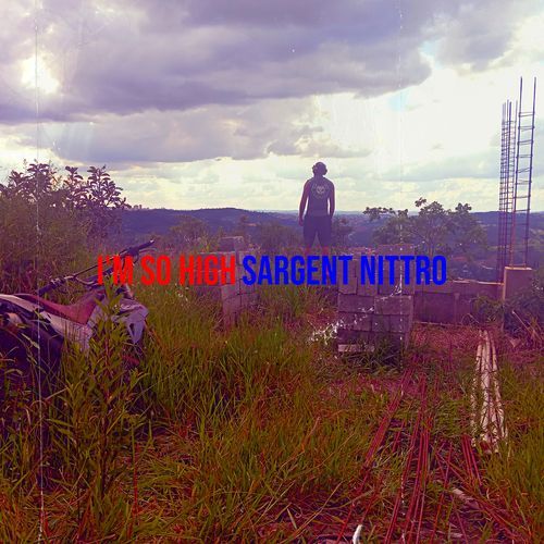 I'm so High cover art
