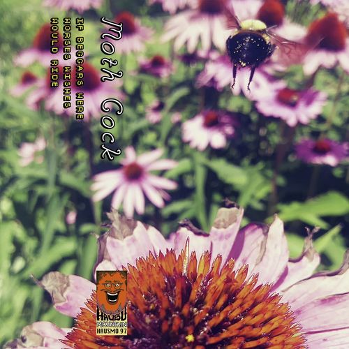 Dr. Quinn Intro cover art