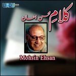Mohsin E Teer artwork